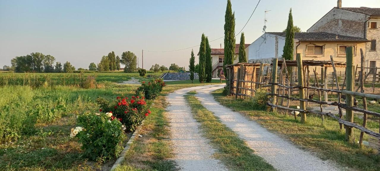 San Pietro B&B App 5 Castel Goffredo מראה חיצוני תמונה